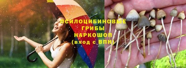 ECSTASY Осташков